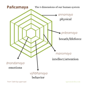 graphic of pancamaya model 5 dimensions